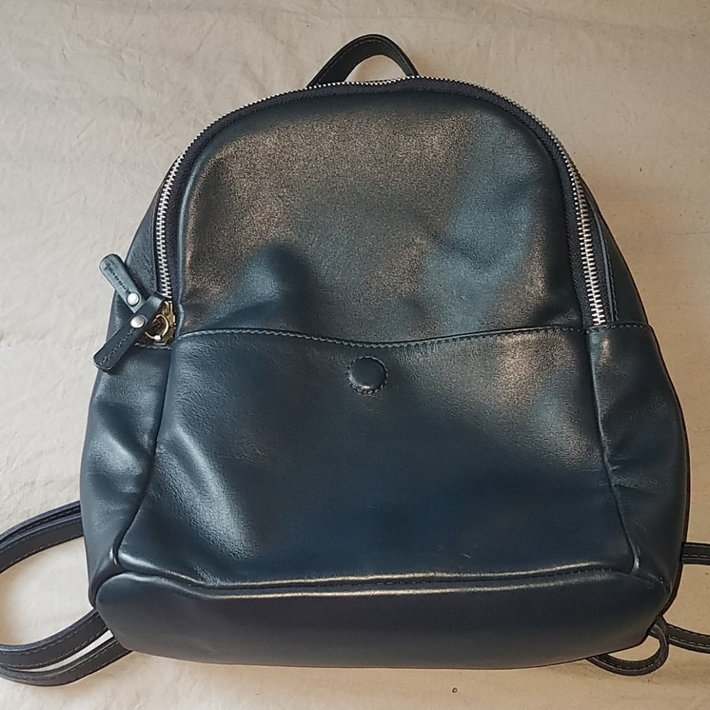 Aeo Wonder Leather Mini BackPack